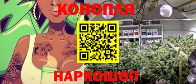твердый Бийск