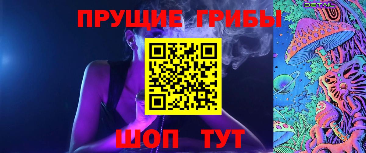 Заводоуковск  закладка  Вход с VPN  Псилоцибиновые грибы Cubensis 