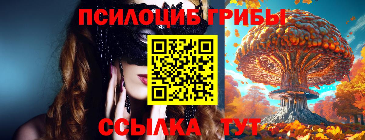 Псилоцибиновые грибы прущие грибы Заводоуковск
